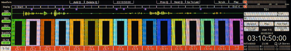 Signed Waveform Style LCD Display